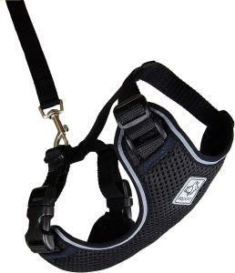 RC Pets Adventure Kitty Harness