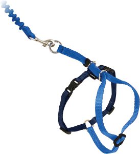  The PetSafe Come With Me Kitty Harness & Bungee Leash