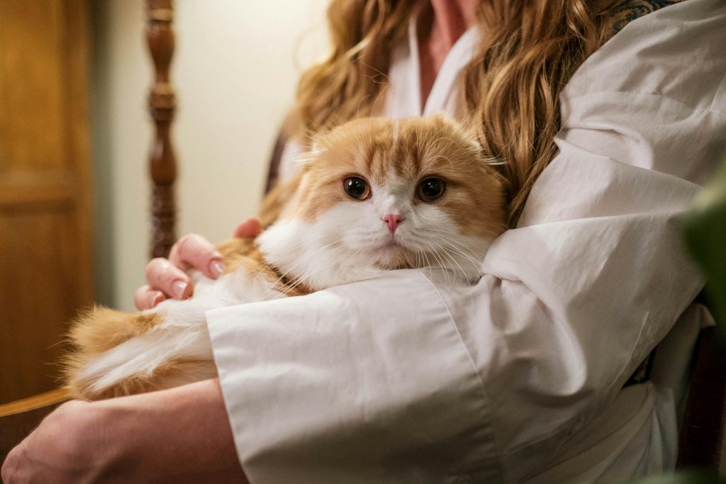 7 Amazing Health Benefits of Owning a Cat (Yes, It’s Science!)