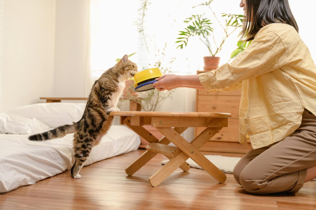 10 Things You’re Doing That Your Cat Hates (Time to Stop!)