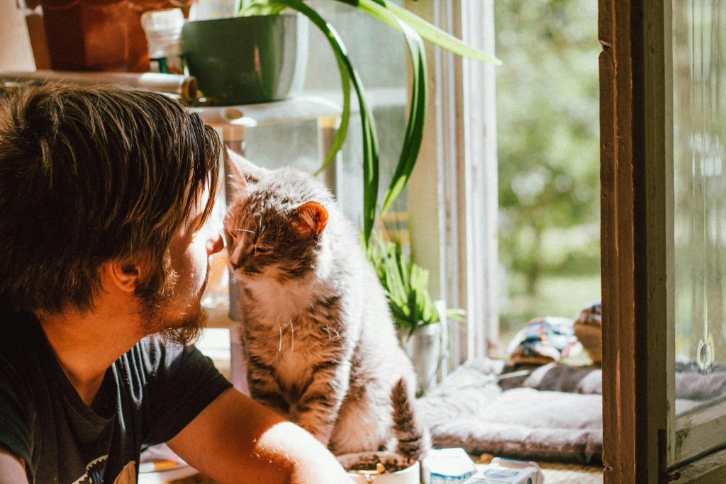 5 Ways Cats Show Affection That Most People Miss